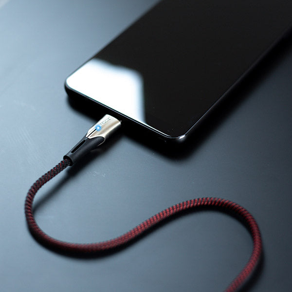 LED USB-C Fast Charger Cable
